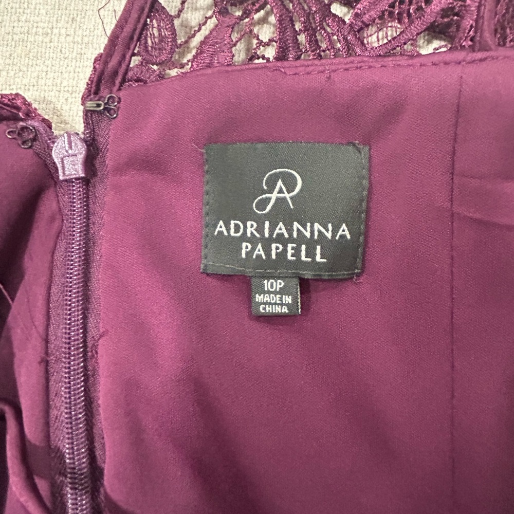Adrianna Papell Rich Plum Lace Dress